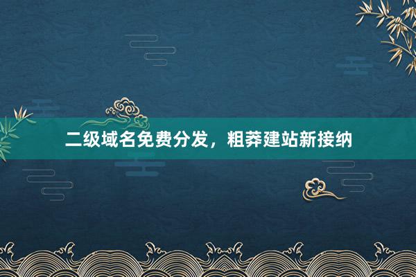 二级域名免费分发，粗莽建站新接纳